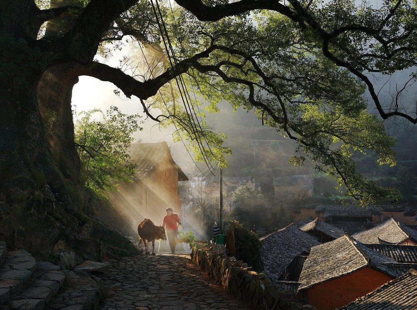  解讀松陽(yáng)：古村古韻，藏在傳統(tǒng)村落里的流量密碼